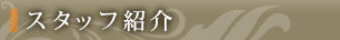 スタッフ紹介